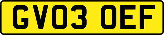 GV03OEF