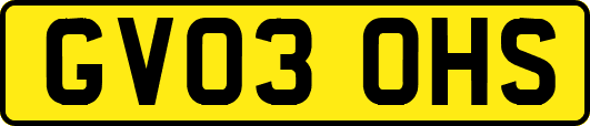 GV03OHS