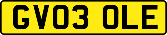 GV03OLE