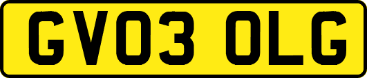 GV03OLG