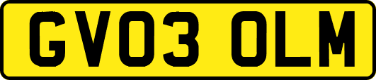 GV03OLM