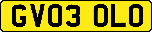 GV03OLO