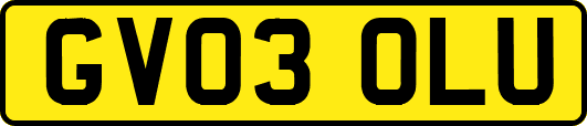 GV03OLU