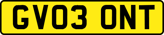 GV03ONT