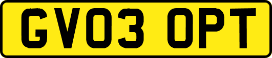 GV03OPT