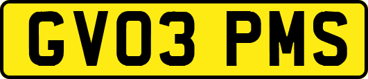 GV03PMS