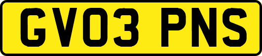 GV03PNS