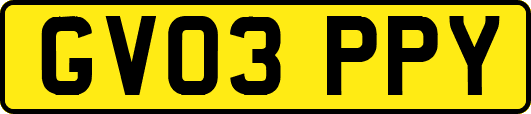 GV03PPY