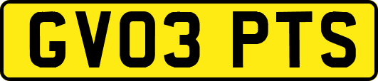 GV03PTS