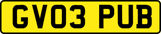GV03PUB