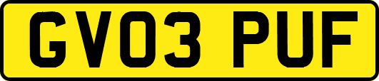GV03PUF