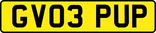 GV03PUP