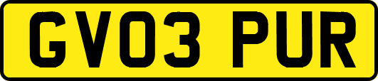 GV03PUR