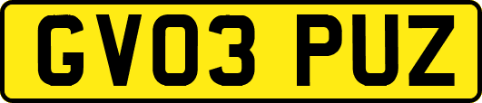 GV03PUZ
