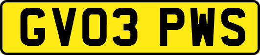 GV03PWS