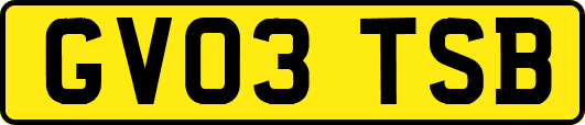 GV03TSB