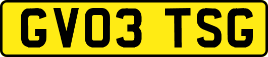 GV03TSG