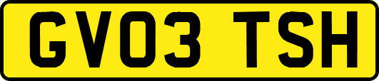 GV03TSH