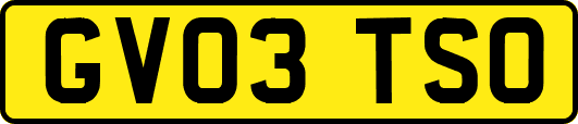 GV03TSO