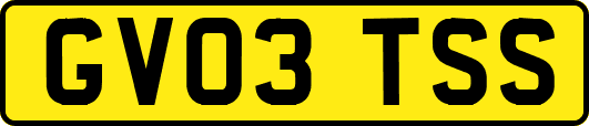 GV03TSS