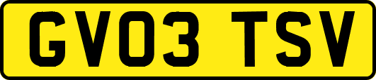 GV03TSV