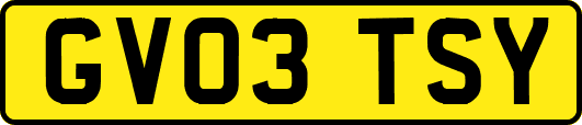 GV03TSY