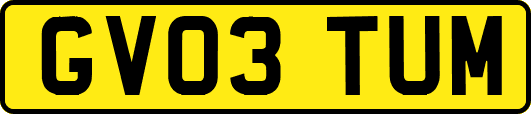 GV03TUM