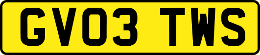 GV03TWS