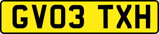GV03TXH