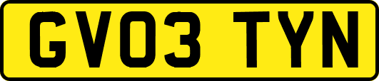 GV03TYN