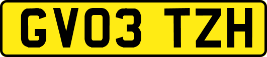 GV03TZH