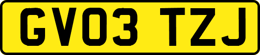 GV03TZJ