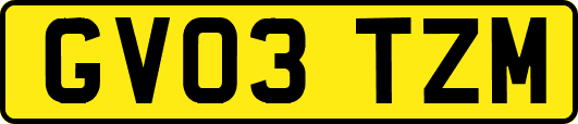 GV03TZM