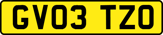 GV03TZO