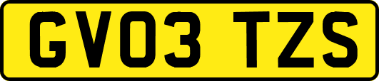 GV03TZS