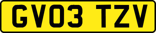 GV03TZV