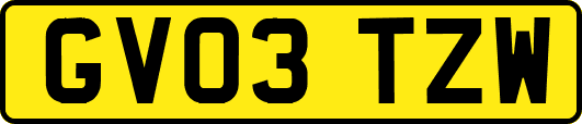 GV03TZW