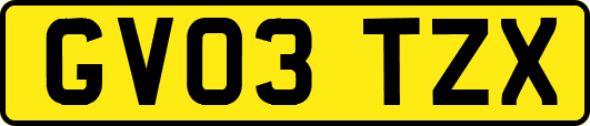 GV03TZX