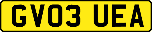 GV03UEA