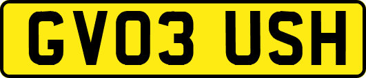 GV03USH