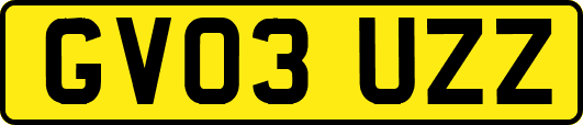 GV03UZZ