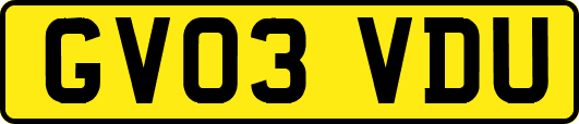 GV03VDU