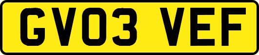 GV03VEF