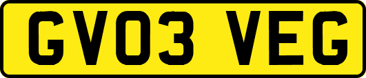 GV03VEG