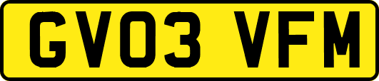 GV03VFM