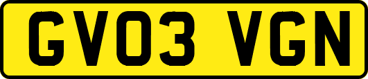 GV03VGN