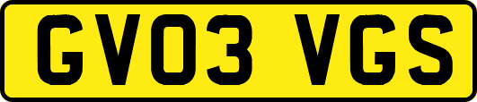 GV03VGS