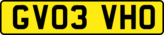 GV03VHO