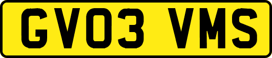 GV03VMS