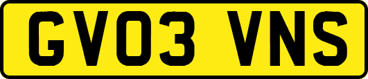 GV03VNS